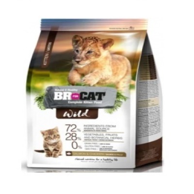 Comida Para Gato Br For Cat Wild Kitten